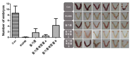 들기름과 들기름 복합물A, B에 의한 RU486을 사용한 착상억제 동물모델에서 자궁 조직의 embryo number로 후보소재의 착상증진 효능을 평가함. 들기름복합물B가 유의성있게 결과를 보여줌