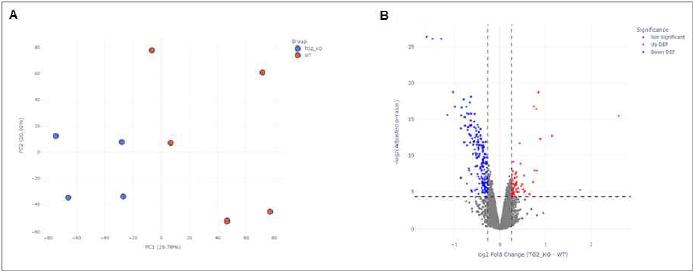 Principal component analysis 그리고 volcano plots