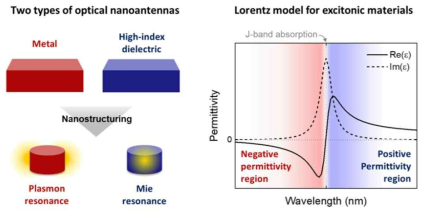 두 종류의 광학적 나노안테나 모식도와 엑시톤 물질이 갖는 복소 유전율 예시