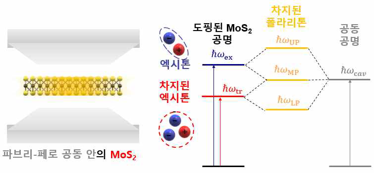 강한 결합으로 형성되는 대전된 폴라리톤 에너지 준위 모식도