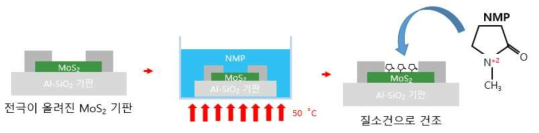 NMP에 의한 MoS2 화학적 도핑 진행 과정 모식도