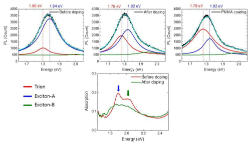 NMP 도핑 전 후의 PL 및 흡수 스펙트럼