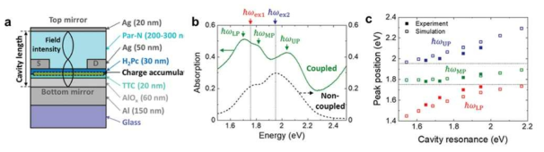 (a) 파브리-페로 공진기에 삽입된 H2Pc 트랜지스터 구조 모식도, (b) 하이브리드 폴라리톤 형성을 보여주는 흡수 스펙트럼, (c) 강한 결합에 의한 새로운 상태를 의미하는 안티-크로싱 결과. 실험과 시뮬레이션 결과가 거의 일치하는 것을 볼 수 있다