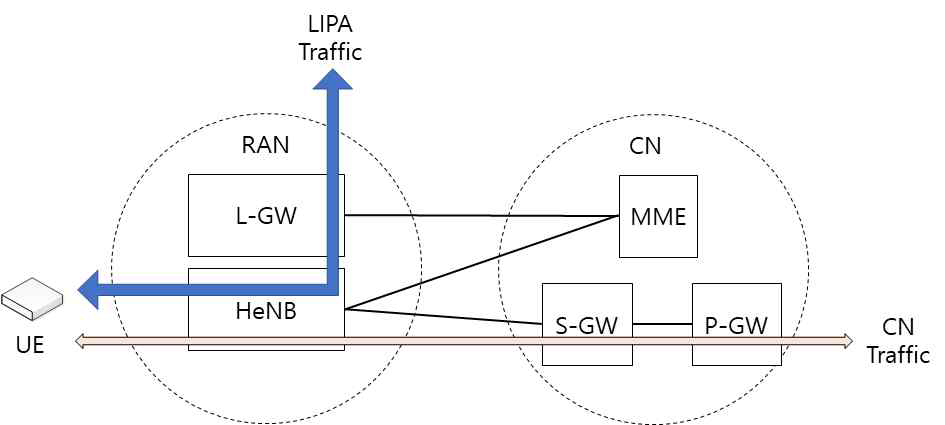 LIPA 구조 예