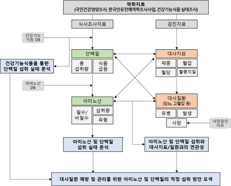 연구의 추진체계