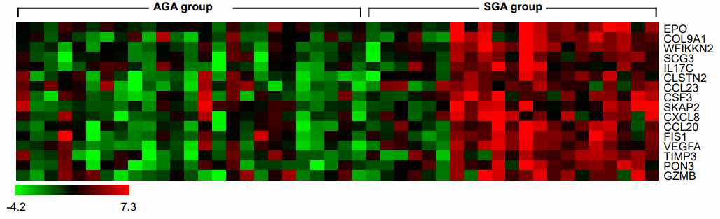 Heatmap showing the identified differentially expressed genes according to the presence or absence of small for gestational age using amniotic fluid retrieved during cesarean section in pregnant women with early onset preeclampsia. The data are presented in matrix format, where rows correspond to individual genes and columns represent different tissues. Each cell in the matrix indicates the relative expression level of a genetic characteristic within a specific tissue. High expression levels are denoted by red, while low expression levels are denoted by green, with intensity variations indicated by a scale bar