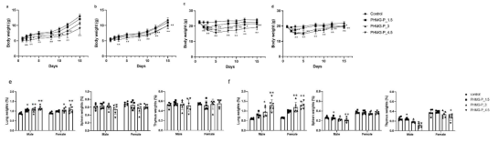 PHMG-P 노출에 따른 체중(a-d)및 장기무게(e, f)의 변화. a, b는 신생자 수컷과 암컷, c, d는 8주령 마우스의 수컷과 암컷, e는 신생자, f는 8주령 마우스