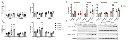 PHMG-P를 노출한 신생자(a, c, d)와 8주령 마우스(b, c, d)의 폐의 사이토카인의 변화. a, b는 15일째, c는 4일째