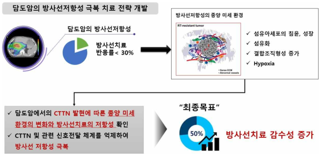 연구 목표