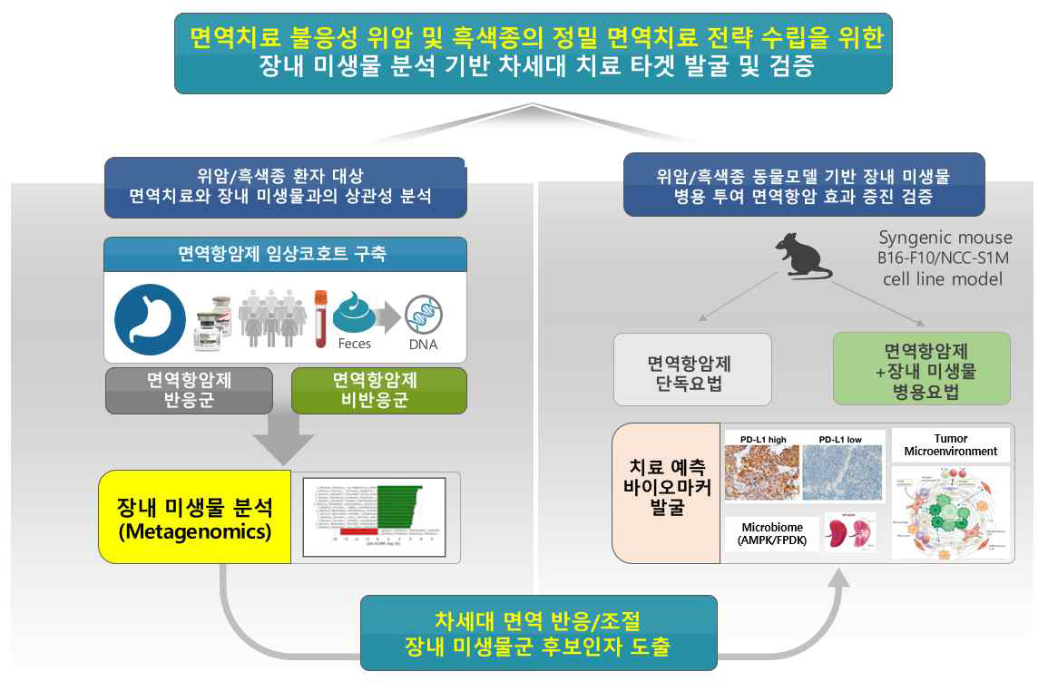 본 연구의 개요