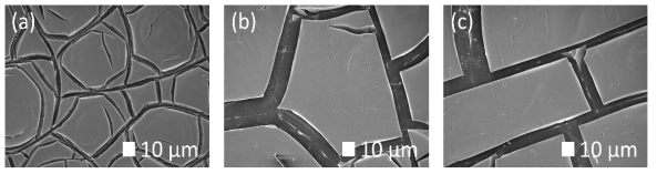 각각의 산으로 에칭한 기판에 Ru, Zn 혼합 용액을 코팅한 촉매전극의 SEM image, (a) 염산, (b) 옥살산, (c) 불산암모늄 에칭