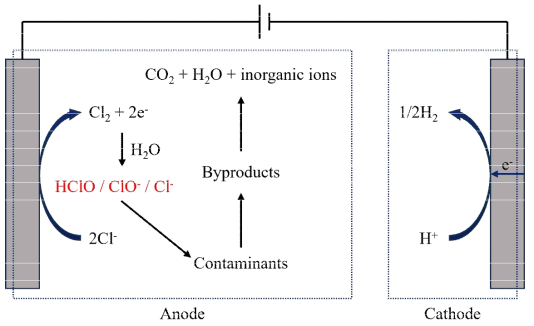 전기화학적 분해 시 양극과 음극에서 발생하는 반응 예시