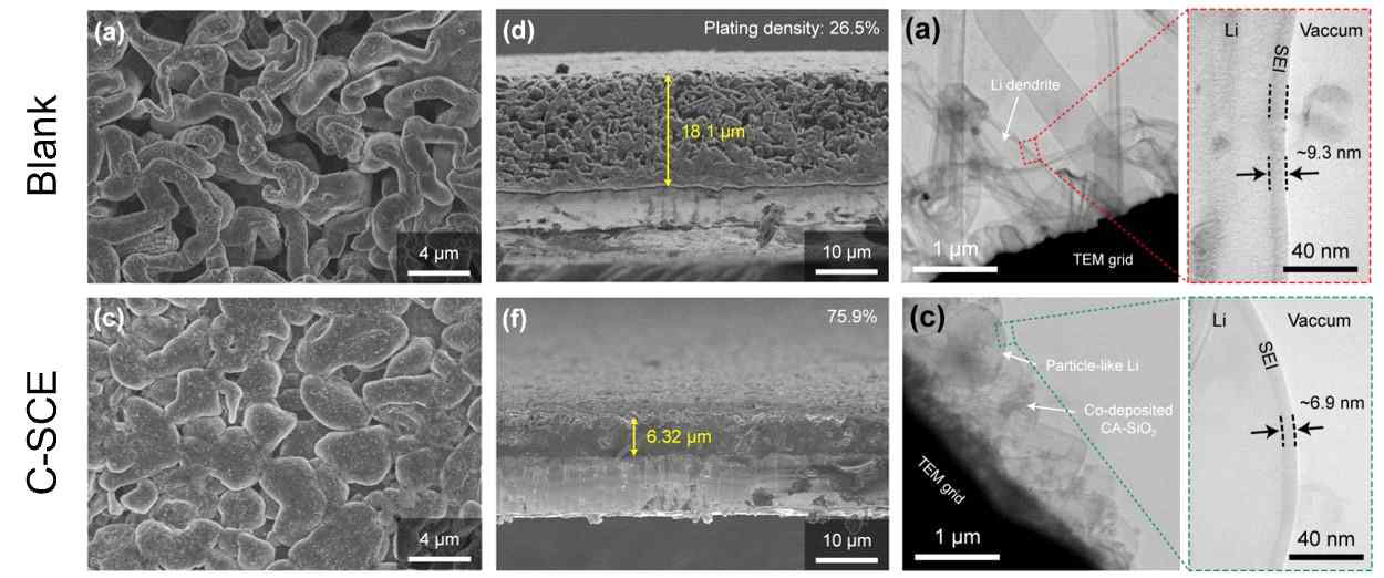 Blank와 C-SCE의 리튬 전착 형상 SEM 이미지 및 표면 SEI 두께 비교 TEM 이미지