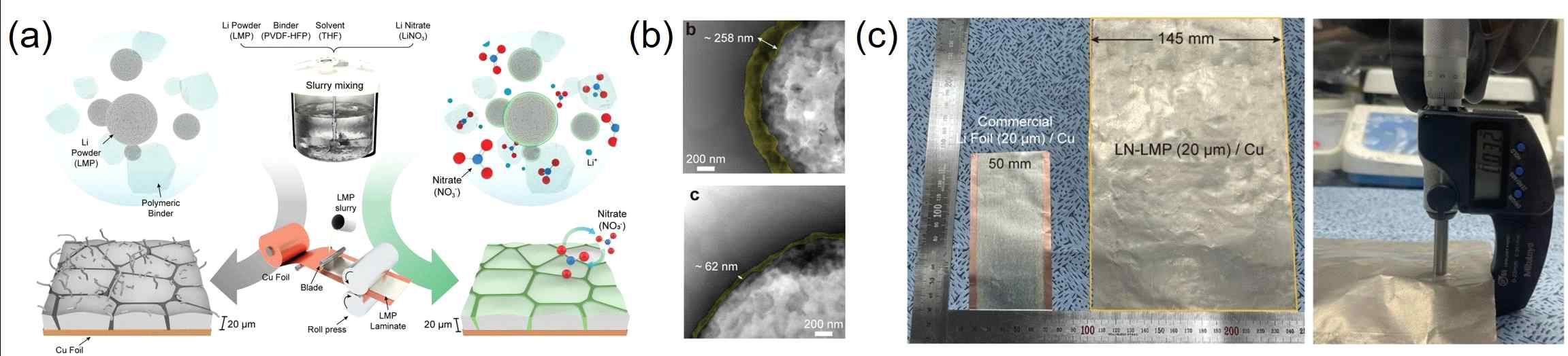 (a) LiNO3 적용 리튬 메탈 파우더 전극 제작 과정 도식화 (b) Bare 및 LiNO3 처리 리튬 파우더 SEI의 TEM 이미지 (c) 대면적 (145 mm), 박막화 (20 μm) 리튬 파우더 전극