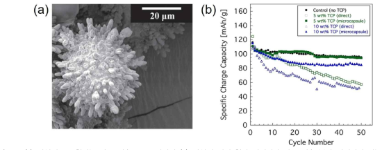 (a) 난연제를 포함하는 나노 캡슐 SEM 이미지 (b) 난연제 직접 첨가 전해질과 나노 캡슐 분산 전해질의 성능 test