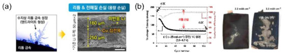 (a) 리튬 덴드라이트로 인한 LMB의 용량 손실 문제. (b) LIB의 용량 저하 파우치 셀 내 리튬 금속 전착 현상