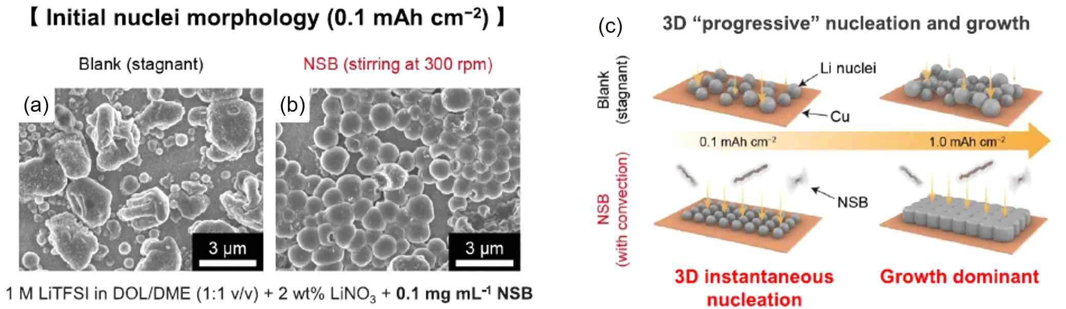 (a, b) NSB 기반 대류 유무에 따른 Li nuclei 형상 SEM 이미지. (c) NSB의 nucleation & growth mode 도식화