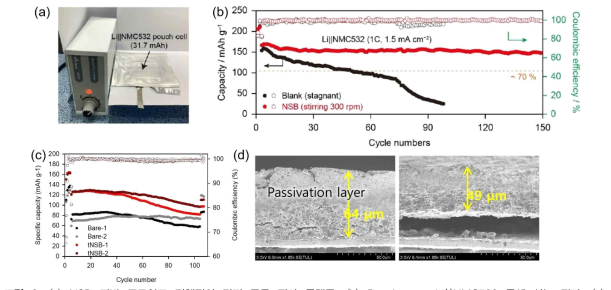 (a) NSB 기반 콜로이드 전해질의 전지 구동 평가 플랫폼. (b) Pouch-type Li||NMC532 풀셀 성능 평가. (c) NMC811||Gr 풀셀 저온 (-20℃) 급속 충전 (10 C, 6-min) 성능 평가. (d) 100 cycle 후 Graphite 음극의 열화 비교 SEM