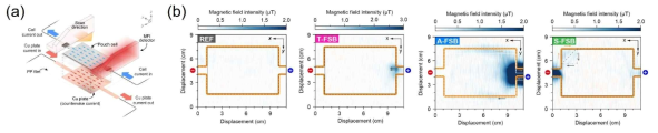 (a) MFI를 통한 배터리 이미징 과정 모식도 (b) MFI를 통한 REF 및 Tab 열화 모델 (T-FSB), Align 열화 모델 (A-FSB), Stack 열화 모델 (S-FSB) 배터리 내 전류 분포 이미징화 Data