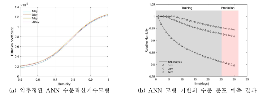 실험 결과를 바탕으로 상대습도와 재령을 입력변수로 하는 ANN 기반 수분확산계수모형 역추정 결과