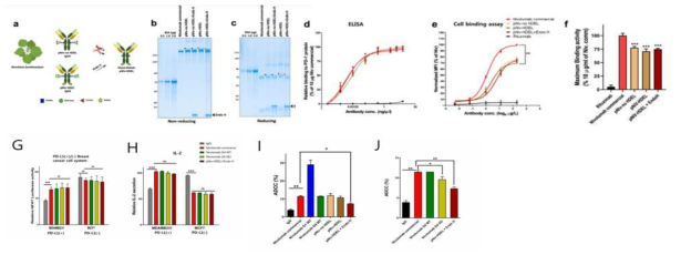 Glyco-delete를 이용한 anti-PD1 mAb Nivolumab의 식물생산 및 기능 개선 A. 담배식물에서 glycol-deleted Nivolumab 생산 모식도. B-C. 식물 Nivolumab 항체의 정제 및 Endo-H를 이용한 glycan의 제거확인. D-F. 식물유래 glycol-delete Nivolumab 의 결합능력 G-J. 식물유래 glycol-delete Nivolumab의 면역원성 감소 및 감소된 ADCC