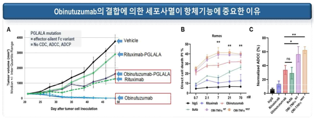 오비누투쥬맵의 결합에 의한 세포사멸이 항체 항암기능에 중요한 이유 A. In vivo mouse xenograft 모델에서 종양크기 비교에 의한 리툭시맵과 오비누투쥬맵 효능비교. 오비누투쥬맵의 효과가 가장 좋을 뿐 아니라 Fc의 기능을 모두 제거한 PGLALA mutant 오비누투쥬맵도 리툭시맵과 같은 정도의 효능을 보임. B, C. 원형 오 비누튜주맵과 오비누투쥬맵-TNFαmut 융합항체의 결합에 의한 세포사멸율(B) 및 면역세포 의존적 세포사멸율 (ADCC)비교(C), (본연구자의 선행연구)