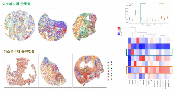 다중항체면역염색을 이용한 세포이웃분석(cellular neighborhood analysis)