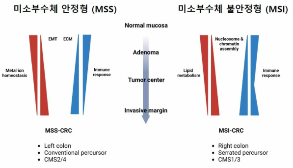 연구 결과 모식도