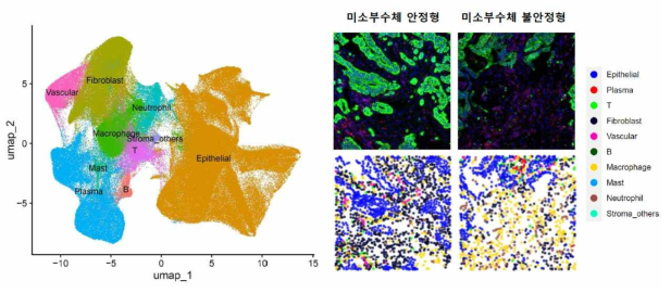 단일세포공간전사체 분석 모식도