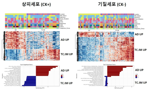 선종 대비 암 중심부 및 침윤부에서의 차별발현유전자