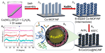 B-CoO/Co@NC/NF 나노복합체 합성에 대한 모식도