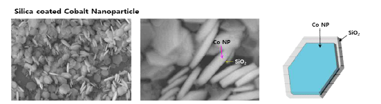 실리카가 코팅된 cobalt 나노입자의 모식도 및 SEM 이미지
