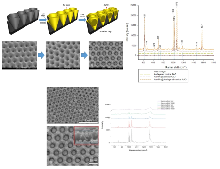 금으로 코팅된 산화알루미늄 나노구조체 내에 배열된 금 나노입자와 SERS 스펙트럼