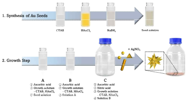 메조스코픽 별 모양 금 입자의 합성을 위한 seed 기반 3단계 성장 방법 모식도