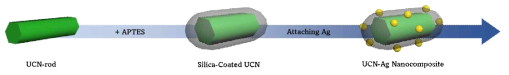 UCNs에 은 나노입자를 붙이는 모식도