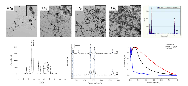 탄소나노튜브와 구리 산화물 나노 복합체의 이미지 및 특성 분석 데이터