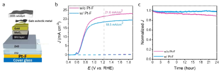 다운컨버젼 물질을 적용한 PM6:Y6 기반 유기 광산화극의 성능과 안정성 측정. a, Pt-F film 적용한 유기광산화극의 구조. b, Pt-F film 유무에 따른 PM6:Y6 유기 광산화극의 성능 및 c, 안정성 비교 결과