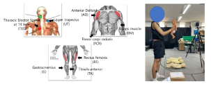 관련 상하지 근육 및 실험 사진