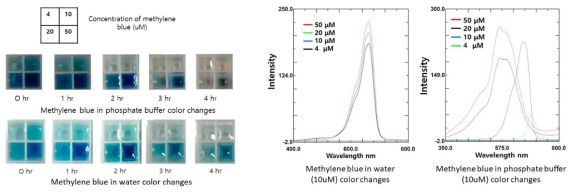 Buffer에 따른 메틸렌 블루의 활성산소 생성