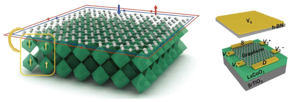 그래핀/LaCoO3(LCO) 하이브리드 이종 구조. 스핀 분극된 그래핀과 LCO 박막 결합된 LCO 층에서 Co 원자를 중심으로 한 팔면체 구조를 볼 수 있다. 외부 자기장 하에서, 그래핀 내부 전자는 폐쇄 궤도를 따라 움직이고 가장자리 전자는 가장자리 상태를 형성한다. 게이트 전기장을 통해 이 스핀 교환 분열 에너지를 조절할 수 있다. [Adv. Func. Mater. (2024)]