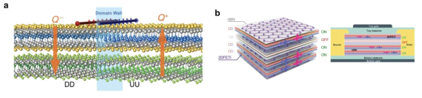 2차원 강유전 위상 절연체 (two-dimensional ferroelectric topological insulator, 2DFETI) 기반 정보 저장 메모리 장치의 모식도. 이종 이중층은 up-up(위-위) 분극 구성(UU)에서는 위상학적으로 trivial하고, down-down(아래-아래) 분극 구성(DD)에은 위상학적으로 nontrivial하다. (a) 강유전체 도메인 벽은 필드 설정 가능하며 이동할 수 있는 준-1차원 채널로서, 소멸되지 않는 스핀 전류를 운반한다. (b) 이종 이중층으로 구성된 비휘발성 위상 메모리스터.상부와 하부 게이트 사이에 수직 전기장을 걸어 스핀 전도 상태를 조절할 수 있다