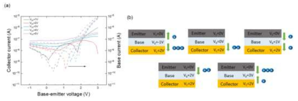 수직구조 유기 투과 베이스 트랜지스터 구동 특성 (a) Transfer curves of VOPBTs with various VCE (b) The relative potentials and the resulting electron transports in VOPBTs