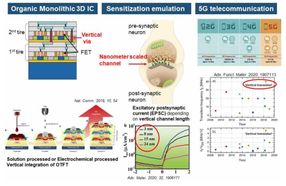 반도체/생체모사/고속통신 분야에서 수직구조 유기 트랜지스터의 높은 활용성