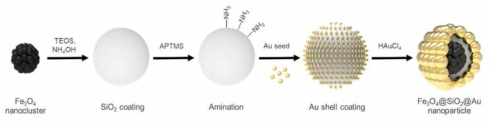 자성 나노입자의 합성 개략도. 산화철 자성 나노클러스터를 중심으로 실리카와 금을 코팅함