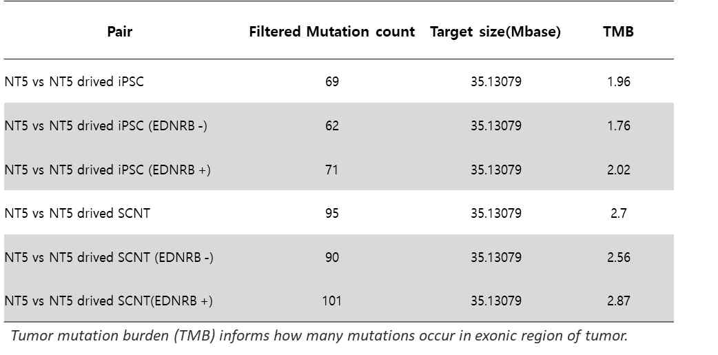 Tumor Mutational Burden