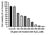 H2O2 처리 농도별 C6 glial 세포의 생존능