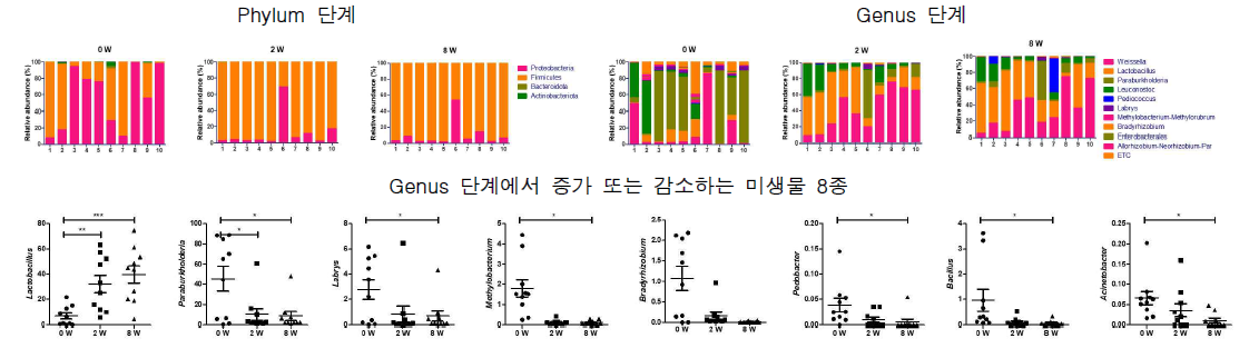 NGS를 이용한 발효단계별 미생물 군집 분석