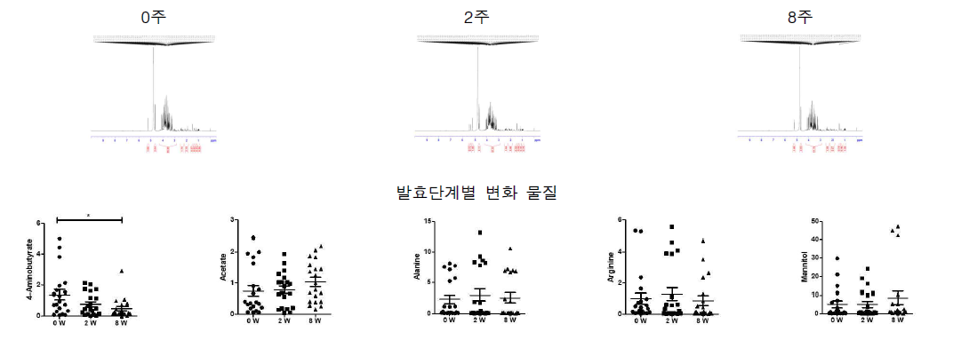 1H NMR을 이용한 발효단계별 대사체 분석