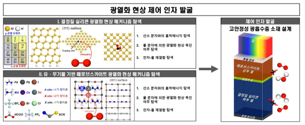 연구개발과제의 수행 과정 및 수행 내용