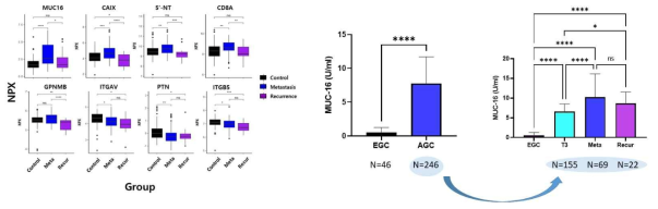 Olink ultiplex Proteomics Panel을 이용해 176개의 혈청 시료를 스크리닝 하였고 그중 전이가 있는 환자에서 유의하게 증가하는 8개의 단백질을 선별(좌)함. 이후 Mucin-16의 농도를 ELISA를 이용해 검증하였고 Mucin-16을 이용하는 경우 전이성 암 진단 및 예후예측 효과가 우수함을 확인함